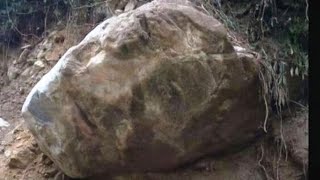 Petrified Giants, Creatures and Beasts