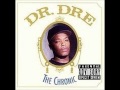 Dr. Dre - The Day the Niggaz Took Over