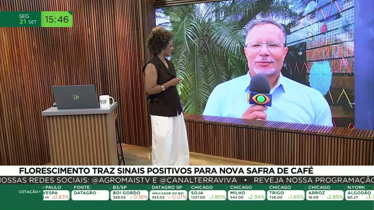 Florescimento traz sinais positivos para a nova safra do café