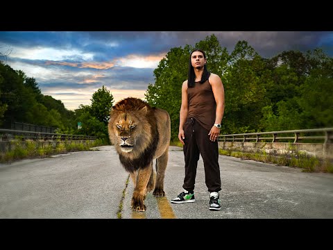 YouTube Thumbnail
