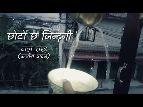 Chhoto Chha Jindagi छोटो छ जिन्दगी Jal Tarang Instrumentation | Chitra Niran | Bhupu, Melina, Usha