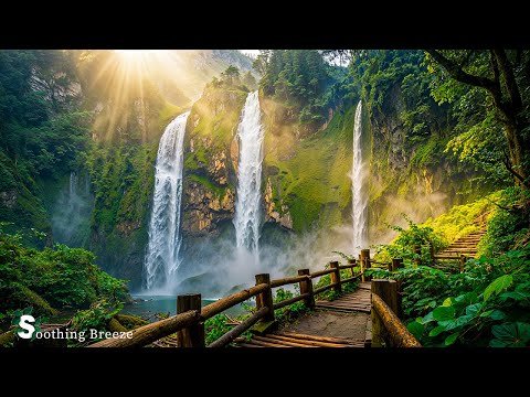 Beautiful Relaxing Music - Stop Overthinking, Stress Relief Music With Calming Birds Singing