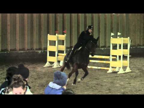 Jenna Tolkkinen & Wel Charro Van Westuur 80cm @ Merlitz 15.11.2015