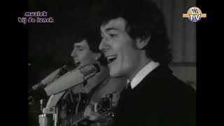 The Hollies - Look Through Any Window  (1965)