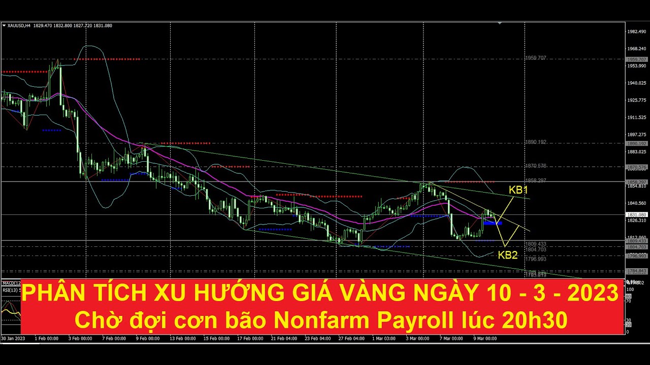 Video phân tích xu hướng giá vàng trước bão Nonfarm ngày 10 - 3 - 2023