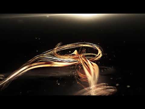 SIEGE LINEAGE2ID 27/12/2020 Clan TogetherHunter