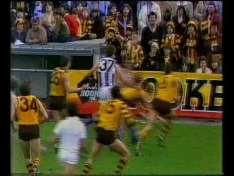 VFL R7 1983 - Hawthorn v Nth Melb