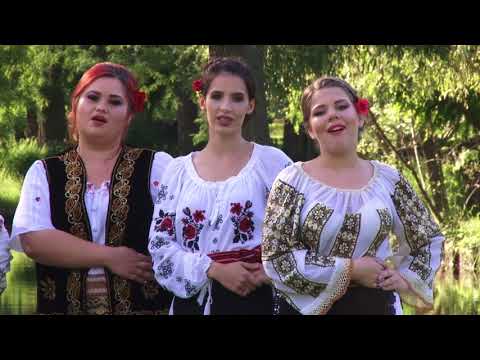 Grupul ARGESSIS   De la Rucăr mai la vale