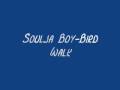 Soulja Boy-Bird Walk Lyrics 