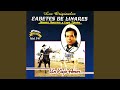 Un Viejo Amor
