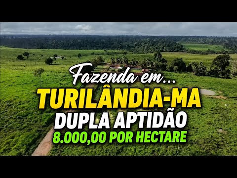FAZENDA EM TURILÂNDIA-MA 