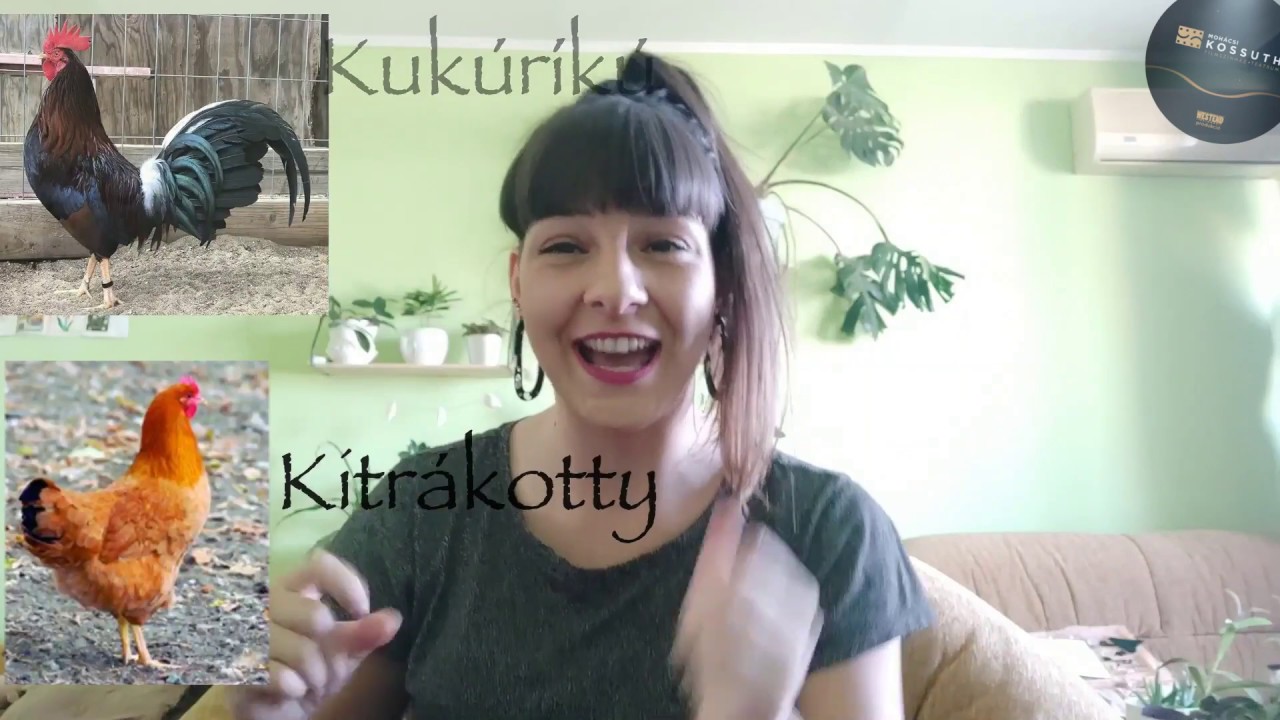 Zenés foglalkozás - 3. rész