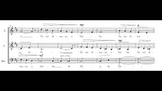 R.Brisotto: "Mentre il silenzio" (Contemporary choral music)