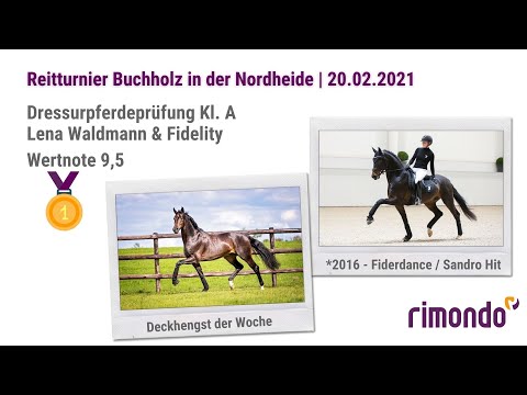 Reitturnier Buchholz 2021: Fidelity & Lena Waldmann, Dressurpferdeprüfung Kl. A