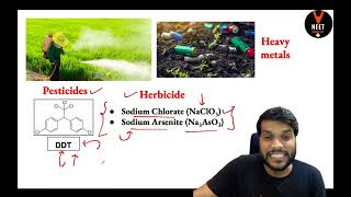 Soil Pollution Environmental Chemistry Class 11 Chemistry