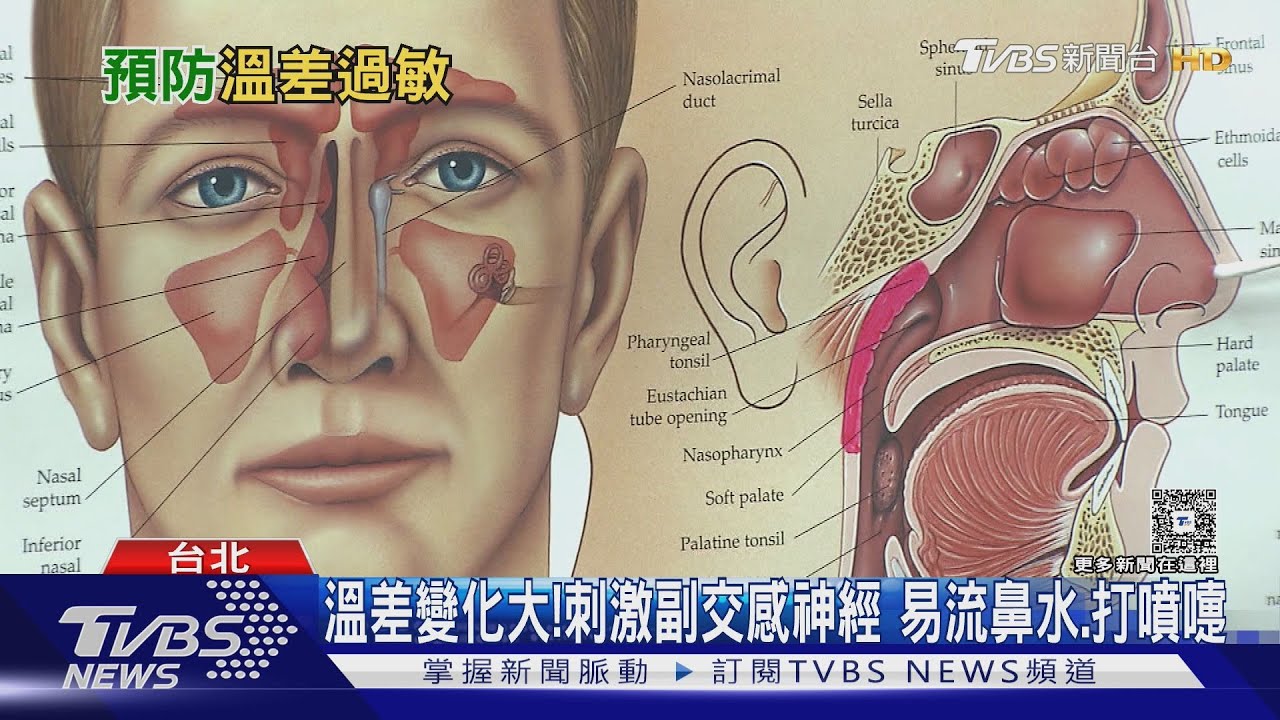 不是感冒也狂咳? 若輕忽下場慘 醫師解析「溫差過敏」真正原因!