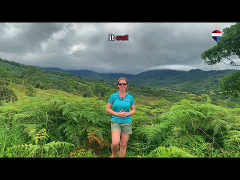 Beautiful property with 360 degree view in San Ramon Sur, Perez Zeledon, Costa Rica.