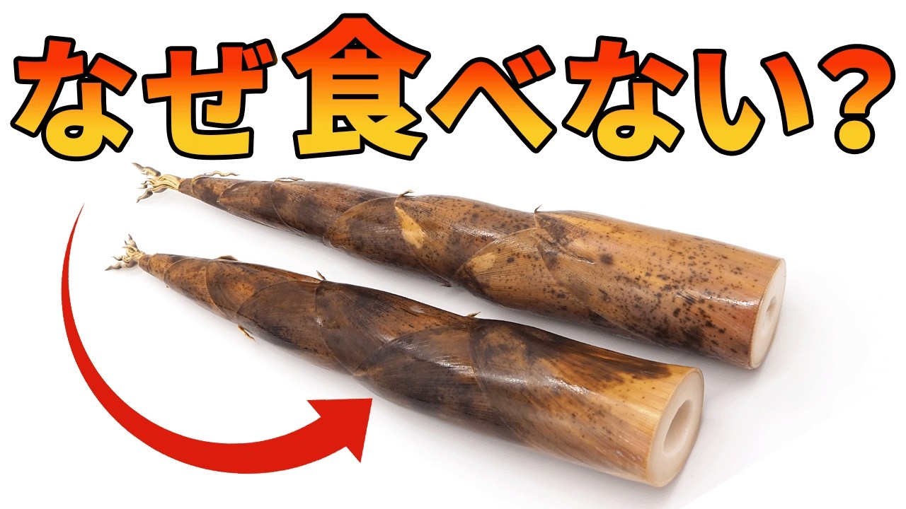 欧米で爆増する竹(タケノコ)が食べられていない理由【生物解説】