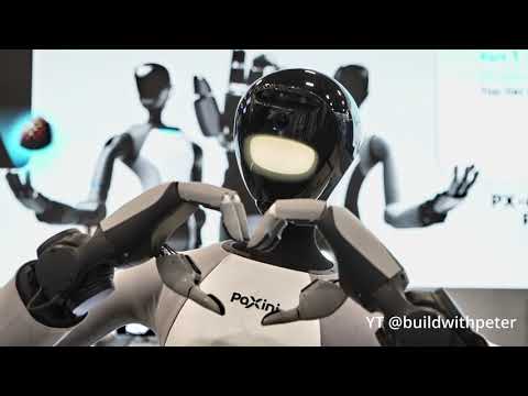 Tora One Review Video 3