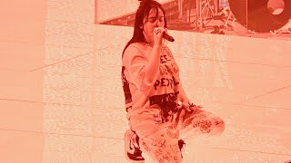 Billie Eilish, Watch &amp; Burn (live), San Francisco, May 29, 2019 (4K)