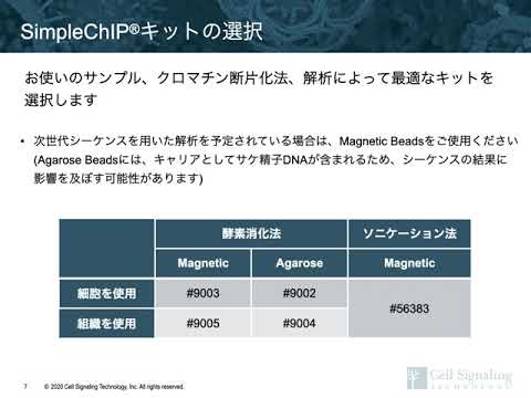 カルロミス・フィランダー