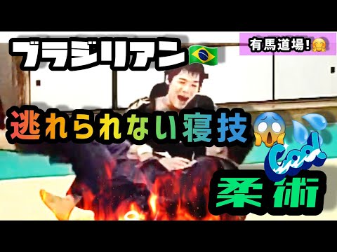 #Shorts【🇧🇷ブラジリアン柔術❗逃れられない寝技😱💦】愛西市立田体育館有馬道場