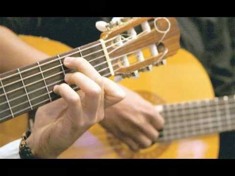 LAS VOCES DEL PLUMERILLO (Tonada)