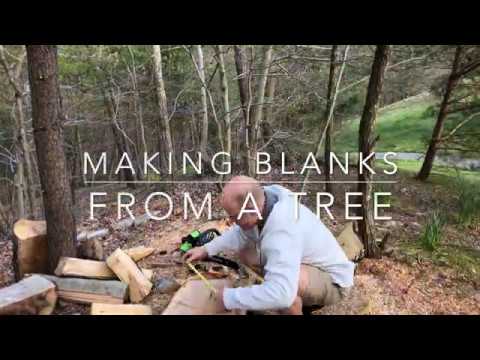 My first video -- cutting blanks & starting a walnut bowl.