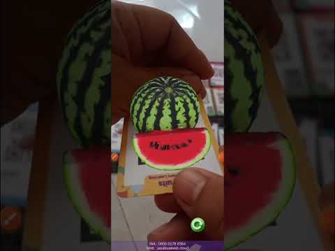 AR Fruits