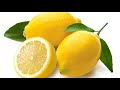 AFTER WATCHING THIS VIDEO... BELIEVE ME YOU WILL LOOK FOR LEMON