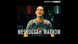 MESHUGGAH MARROW The REAL Way to Count It #meshuggah #metal #tomashaake #musictheory #oddmeter
