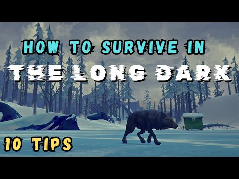 How to Survive in The Long Dark - 10 Quick Tips