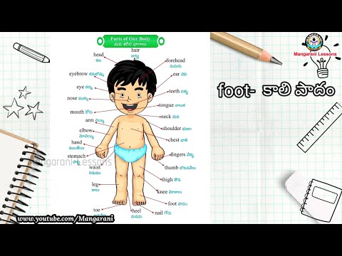 Learn a word a day, Word - foot