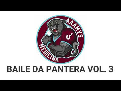 BAILE DA PANTERA VOL. 3