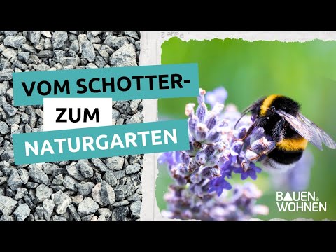 Garten anlegen:Vom Schottergarten zum Naturgarten I BAUEN & WOHNEN