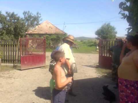 borsa catun inundatii