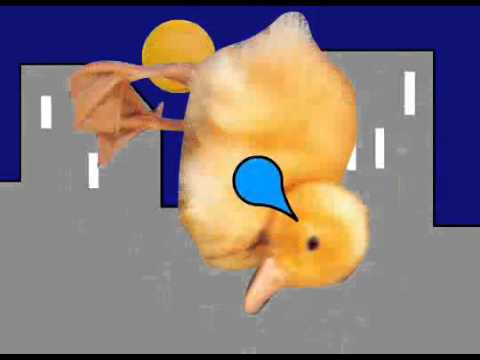 Emo Duck (4chan City Restored Audio)