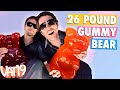 The 26-Pound Gummy Bear 