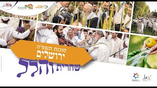 תפילת הלל בשירה שמחה וכוונת הלב מול חומות העיר העתיקה ירושלים | הרב שמואל אליהו | חול המועד סוכות (הרב שמואל אליהו) - התמונה מוצגת ישירות מתוך אתר האינטרנט יוטיוב. זכויות היוצרים בתמונה שייכות ליוצרה. קישור קרדיט למקור התוכן נמצא בתוך דף הסרטון