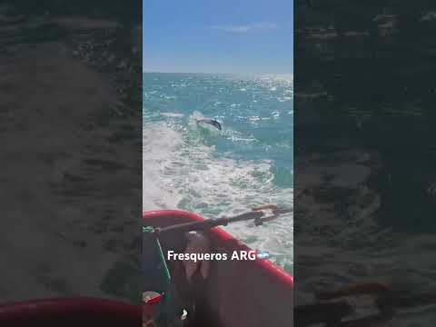 Pesca - Rawson Chubut - B/p Verónica Alejandra