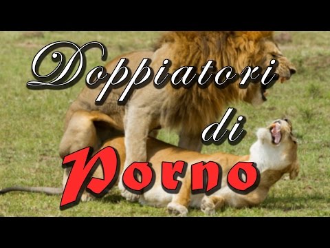 Come trattare limpotenza negli uomini Pillola a buon mercato per aumentare la potenza