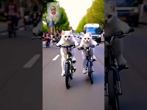 dog sound dog barking loud #shorts #viralshorts