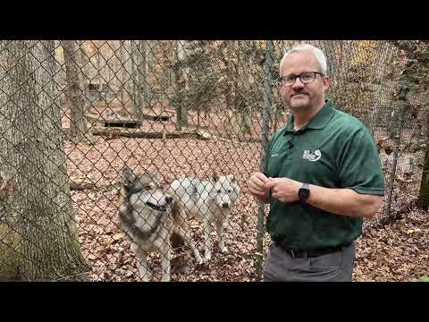 Outside the Collar: Father Michael Cummins - YouTube