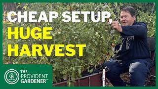 DIY Raised Garden Beds on a Budget (Cheap, Easy & Low-Maintenance!)