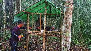 Download lagu Membuat Shelter di tengah hutan di guyur hujan deras dari siang sampai malam mp3 Download lagu Membuat Shelter di tengah hutan di guyur hujan deras dari siang sampai malam mp3