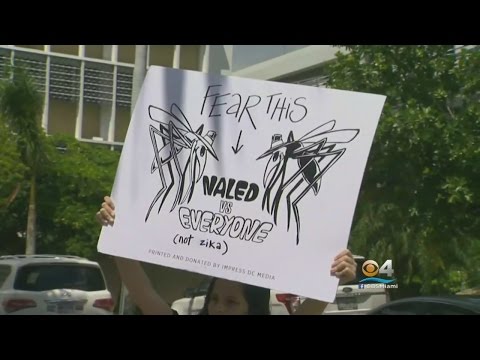 Study: Infants Exposed To Chemicals Used To Combat Zika Had Reduced Motor Skills