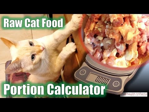 How much Raw Cat Food do I feed my cat? (Portion Calculator tutorial) - Cat Lady Fitness