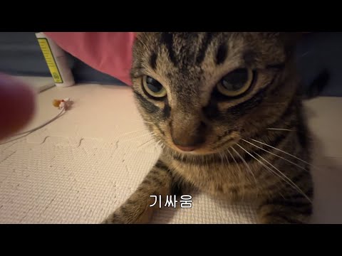 애기랑 싸웠어요ㅡㅡ