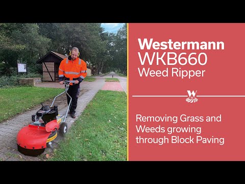 Westermann Honda Weed Ripper WKB660 - Image 2