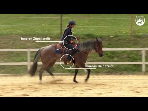 Loesdau Lessons: Grundlagen der Reitpferdeausbildung mit Ute Holm Teil 1 Nachgiebigkeit trainieren